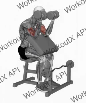 Dumbbell Seated Preacher Curl exercise demonstration