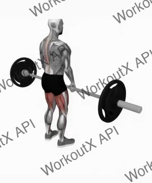 Barbell Stiff Leg Deadlift exercise demonstration