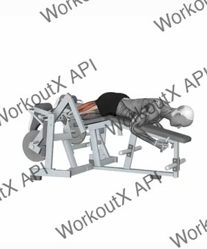 Hammer Strength Iso-Lateral Leg Curl_Alternate Legs exercise demonstration
