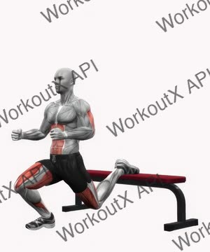 Bench Bulgarian Split Squats Right exercise demonstration