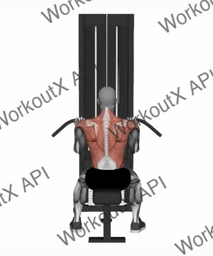 Reverse Grip Lat Pull Down exercise demonstration