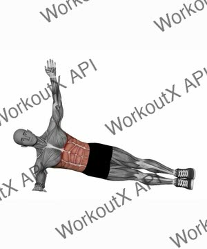 Plank Reach Through exercise demonstration
