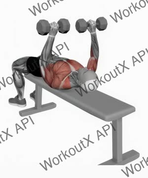 Dumbbell Bench Press exercise demonstration