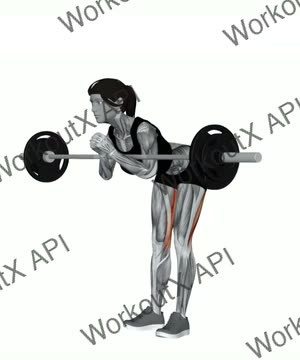 Barbell Zercher Good Morning exercise demonstration