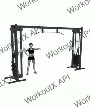 Cable Single Arm Reverse Fly exercise demonstration