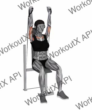 Band Seated Neutral Grip Shoulders Press exercise demonstration