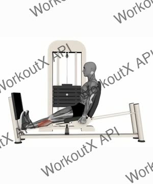 Horizontal Leg Press Calf Raise exercise demonstration