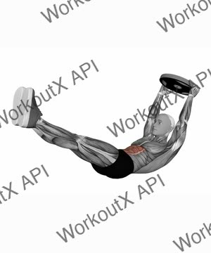 Plate Hollow Hold exercise demonstration