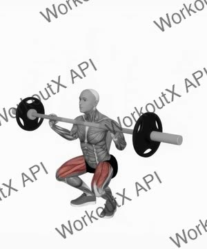 Barbell Front Chest Squat exercise demonstration