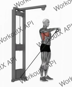Cable One Arm Front Raise exercise demonstration