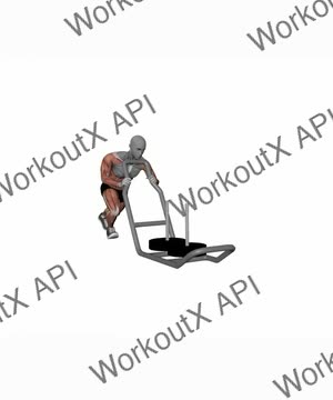 Low Sled Push exercise demonstration