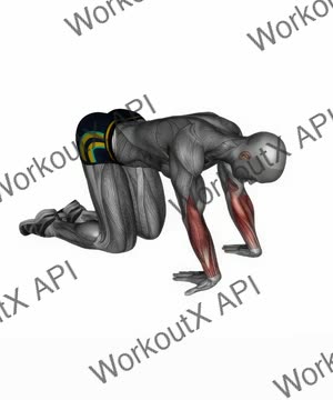 Kneeling Wrist Flexor Stretch exercise demonstration