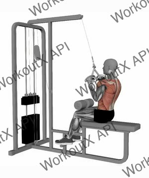 V Bar Lat Pull Down exercise demonstration