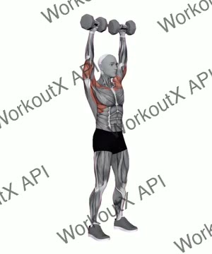 Standing Shoulder Press Dumbbell exercise demonstration