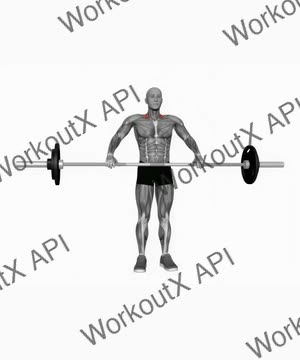 Barbell Wide Shrug exercise demonstration