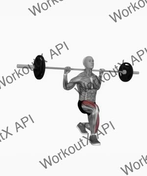 Barbell Front Lunges With Small Pause exercise demonstration