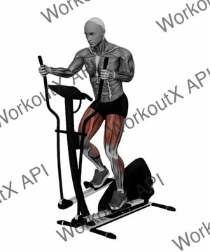 Gym Elliptical Machine Normal Speed exercise demonstration