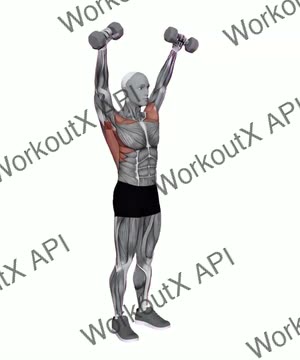 Dumbbell Around the World exercise demonstration