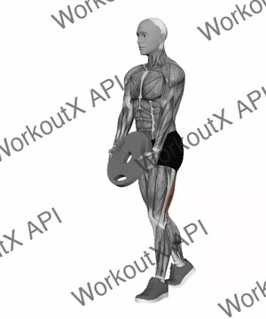 Plate Staggered Deadlift exercise demonstration