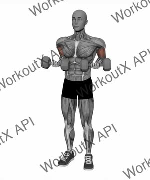 Drag Curl Dumbbell exercise demonstration