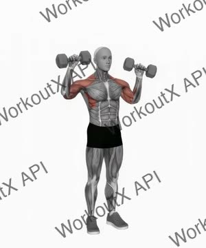 Dumbbell Alternate Shoulder Press exercise demonstration