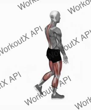 Bodyweight Single Leg Deadlift exercise demonstration