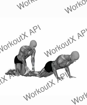 Nordic Hamstring Curl With Partner exercise demonstration