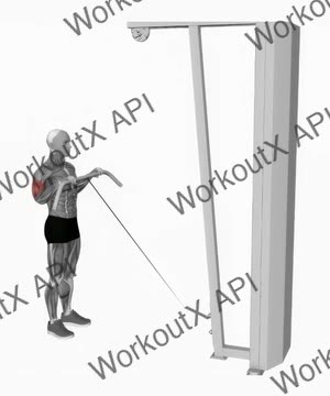 Cable Reverse Curl exercise demonstration