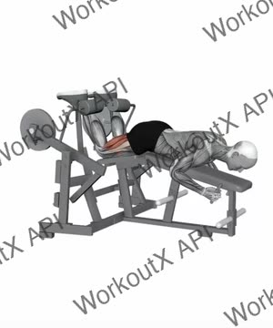 Hammer Strength Iso-Lateral Leg Curl_Both Leg exercise demonstration
