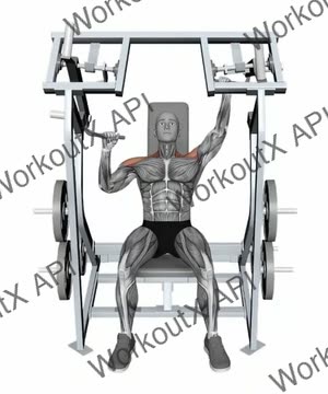 Iso Lateral Shoulder Press Single Arm exercise demonstration