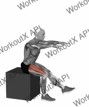 Pistol Squat to Box exercise demonstration
