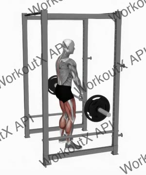 Barbell Rack Pull exercise demonstration