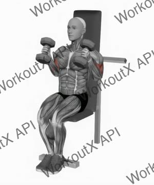 Dumbbell Seated Hammer Curl exercise demonstration