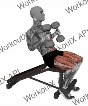 Decline Sit Ups Dumbbells exercise demonstration