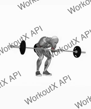 Barbell Standing Concentration Curl exercise demonstration