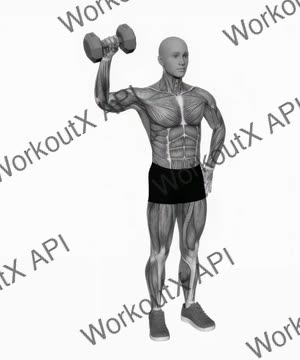 Dumbbell Upright Shoulder External Rotation exercise demonstration