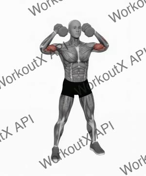 Dumbbell High Curl exercise demonstration
