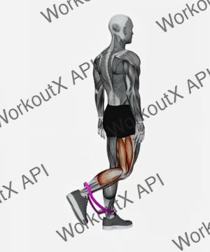 Resistance Band Leg Curl exercise demonstration
