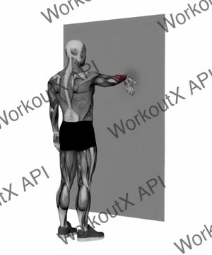 Forearms Stretch on Wall Fingers Facing Down exercise demonstration