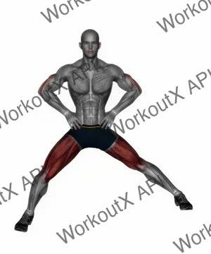 Standing Adductor Stretch exercise demonstration