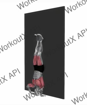 Kipping Handstand Push-Up exercise demonstration