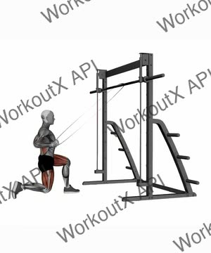 Band Kneeling Single Arm High Row exercise demonstration