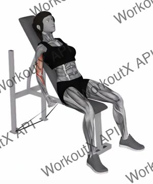 Band Incline Alternate Hammer Curl exercise demonstration