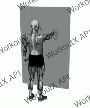 Single Arm Palm Down on Wall Biceps Stretch exercise demonstration