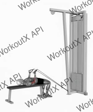 Low Resistance Band Lying Bicep Curl Half Repetition exercise demonstration