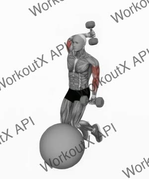 Dumbbell Biceps Curl With Overhead Extension on Stability Ball exercise demonstration