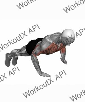 Shoulder Tap exercise demonstration