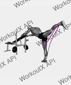 Resistance Band One Leg Kickback (Bent Position) exercise demonstration