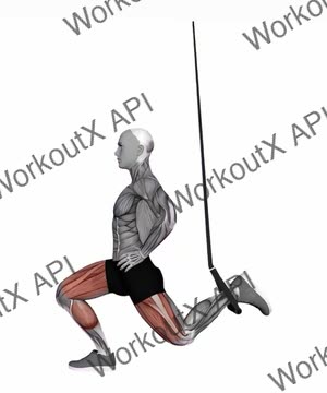 Suspension Trainer With Grips Split Squat exercise demonstration