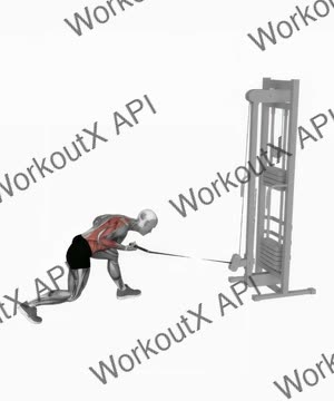 Cable Twisting Pull exercise demonstration